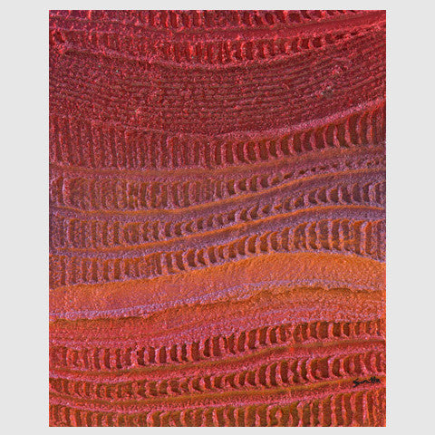 Kintay - Happy series 5 - Saretta Art & Design