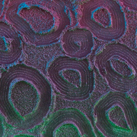 Ngeyran - 'Us All' Saltwater Series - Saretta Art & Design