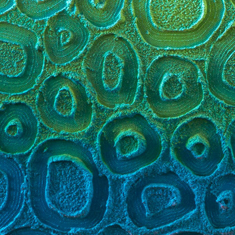 Ngeyran - 'Us All' Saltwater Series