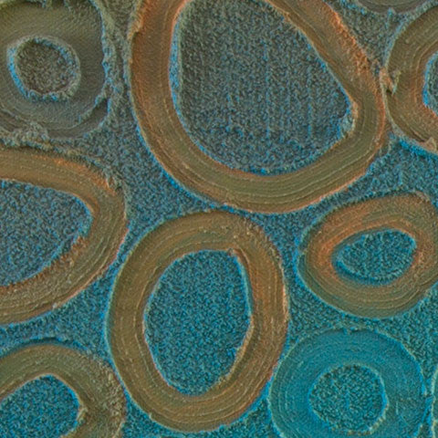 Ngeyran - 'Us All' Freshwater Series - Saretta Art & Design