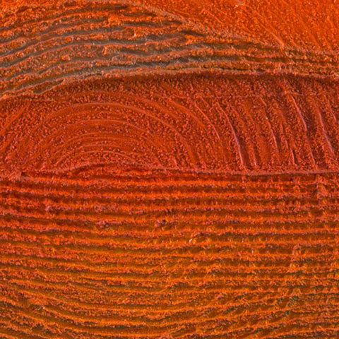 Kurra Kurrin - Petrified Forest (Blackalls Park) - Saretta Art & Design