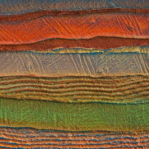 Kurra Kurrin - Petrified Forest (Blackalls Park) - Saretta Art & Design