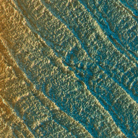 Pillapay-Kullaitaran - Valley of the palms (Glenrock Lagoon) - Saretta Art & Design