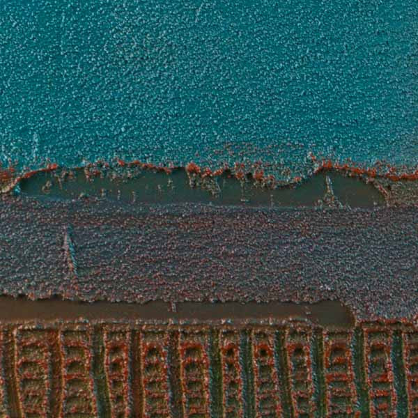 Borii - Songlines series 7 - Saretta Art & Design