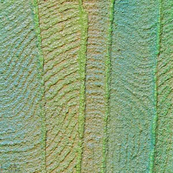 Booran – Dreamtime series 14 - Saretta Art & Design