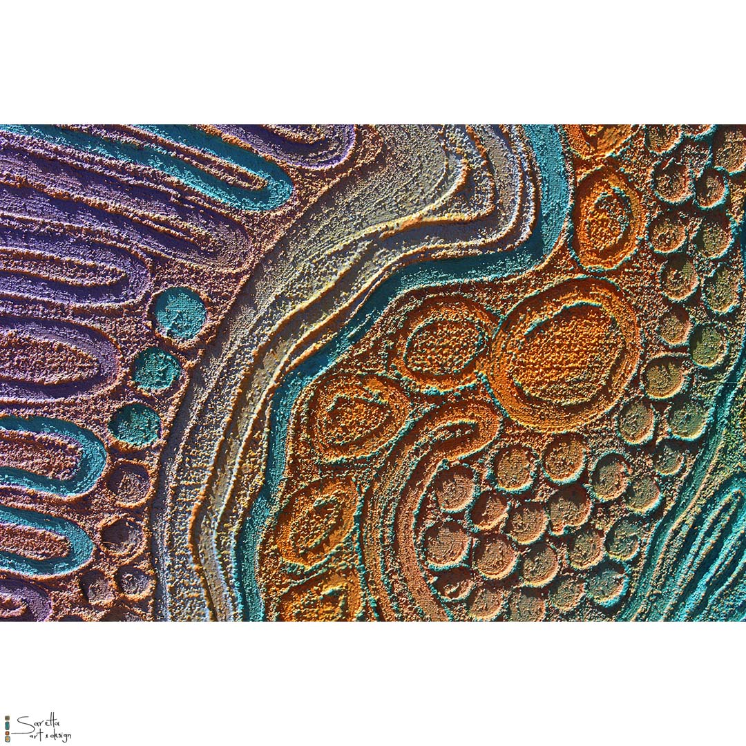 Ngaliinba Parai – Shared Country - Saretta Art & Design