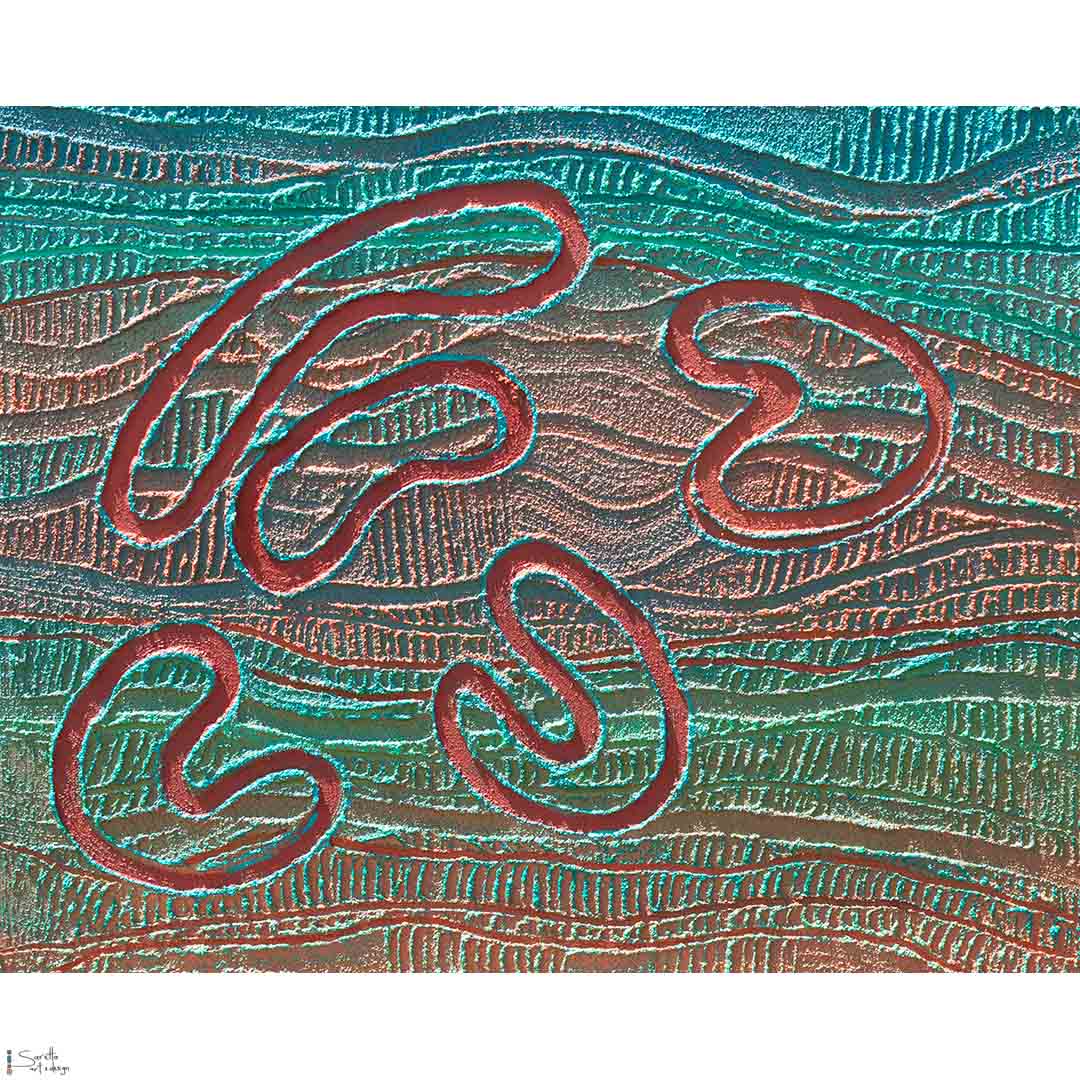 Ngoarokaleyn - Female Elder (teacher) series 2 - Saretta Art & Design