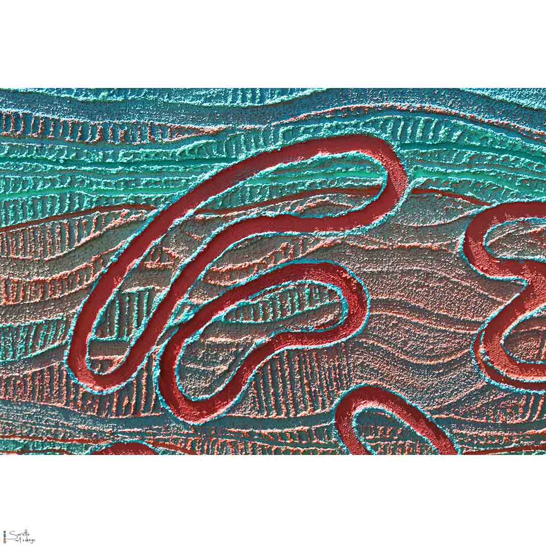 Ngoarokaleyn - Female Elder (teacher) series 2 - Saretta Art & Design