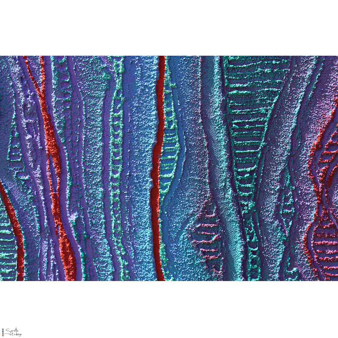 Parai series 19 - Saretta Art & Design