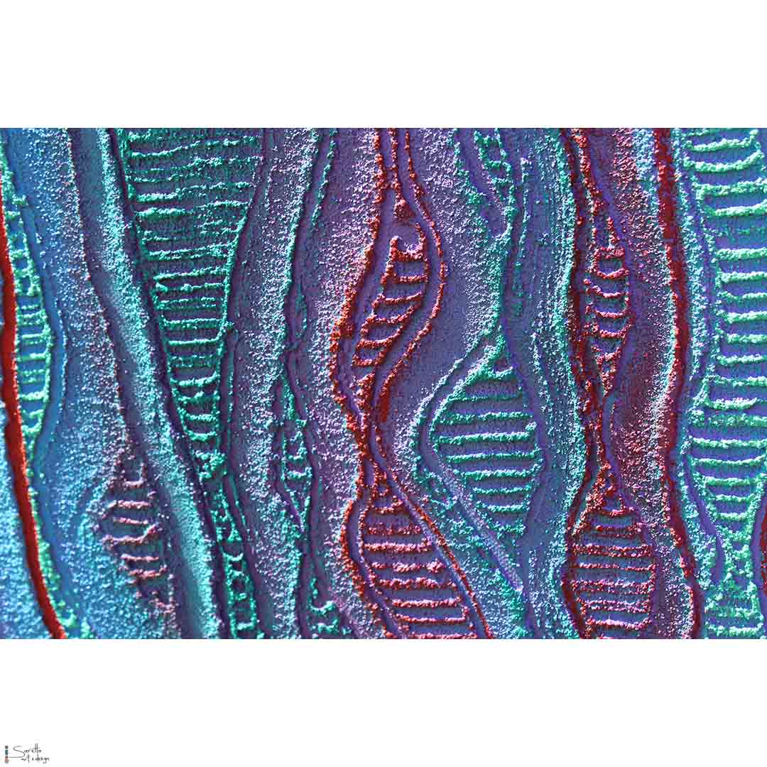 Parai series 19 - Saretta Art & Design