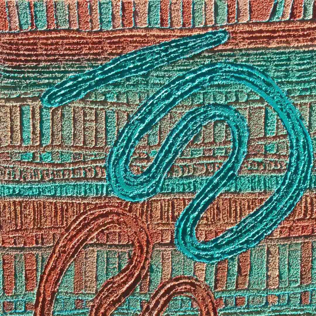 Kakool – As One - Saretta Art & Design