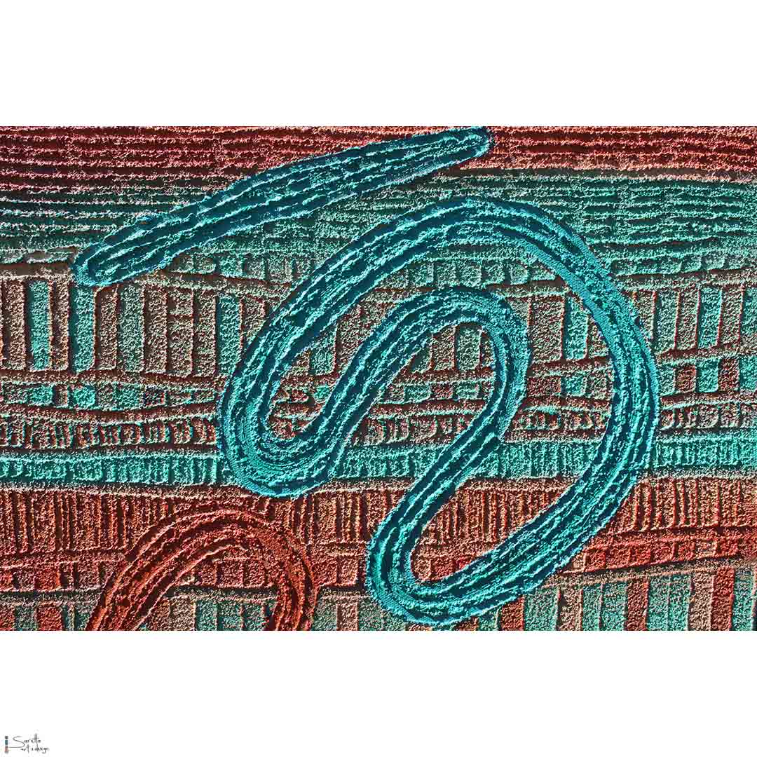 Kakool – As One - Saretta Art & Design