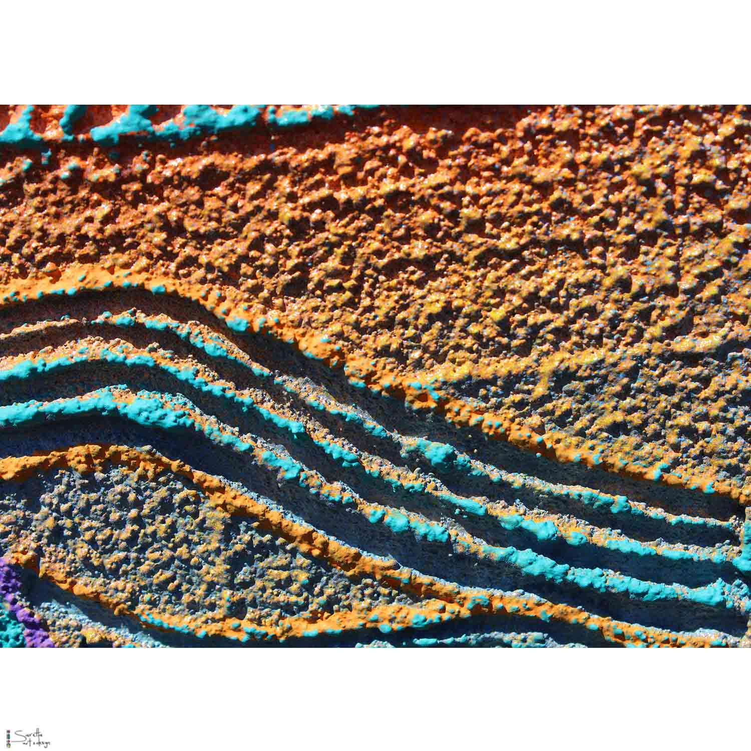 Bayiibayii Parai – Emu on Country, Early Links - Saretta Art & Design