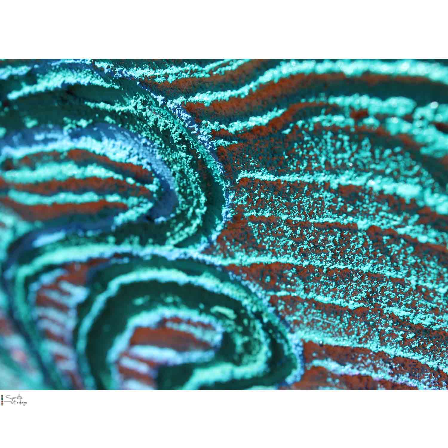 colse up Ngarokal Yapung – Elder Pathway series 2 artwork by Saretta Fielding