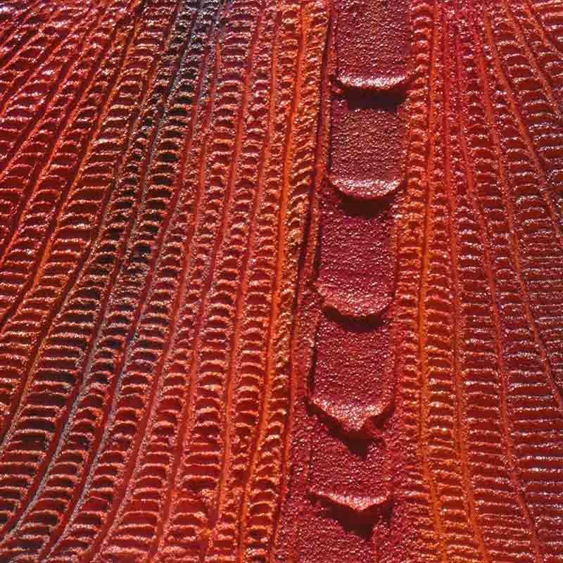 Ngurakaali - Creation series 4 - Saretta Art & Design