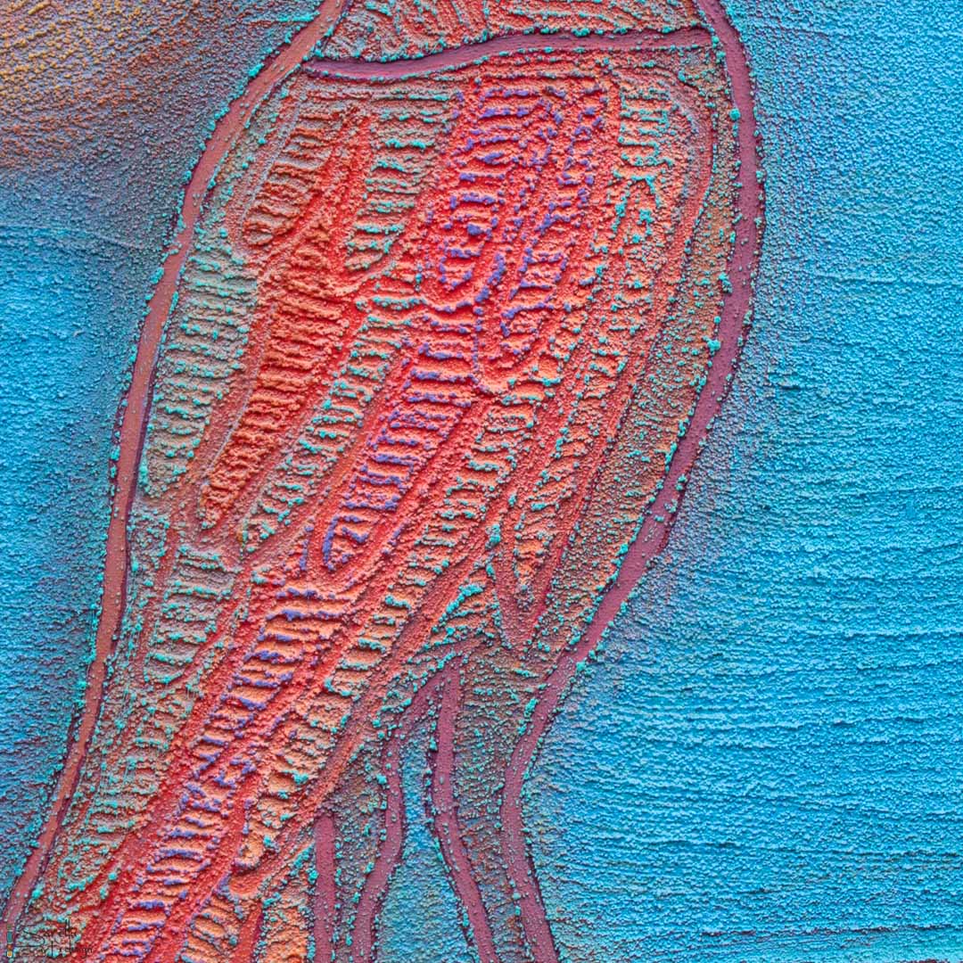 Burrang - Magpie - Saretta Art & Design