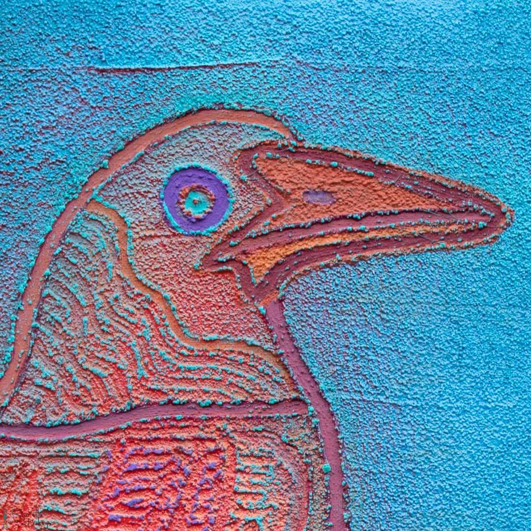 Burrang - Magpie - Saretta Art & Design