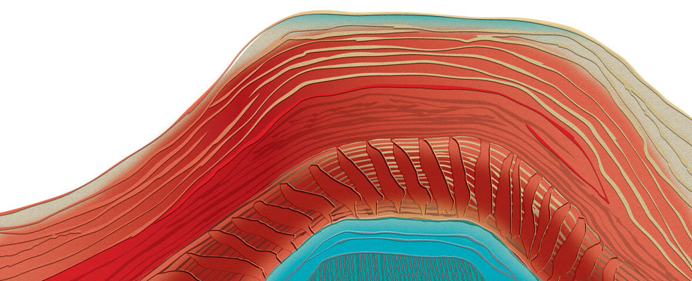 Bulbul Turool – Heart to Heal for Dr Kelvin Kong - Saretta Art & Design