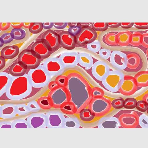 Framed Print Wirobaliko - Follow