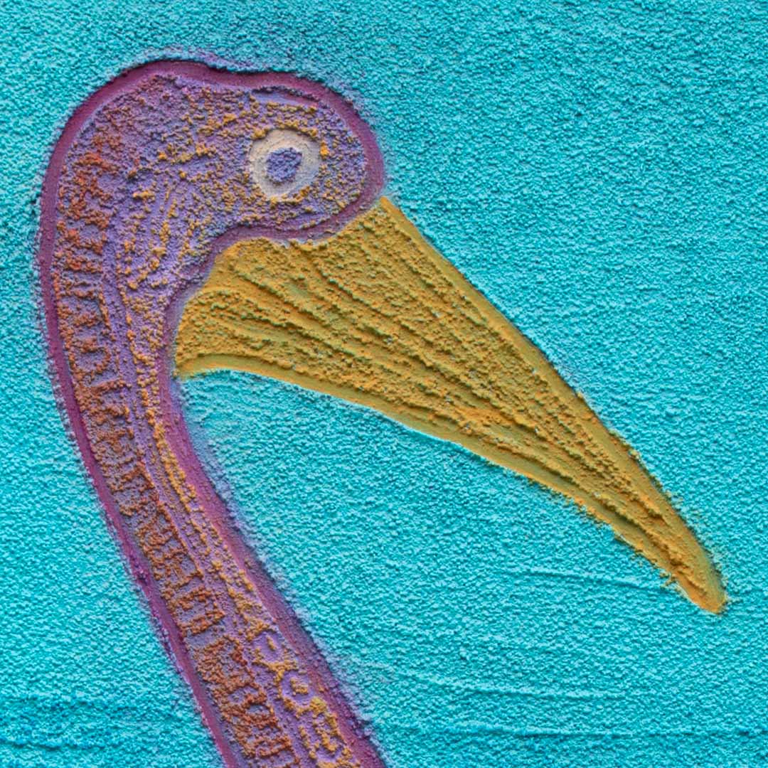 Karuung - Pelican - Saretta Art & Design