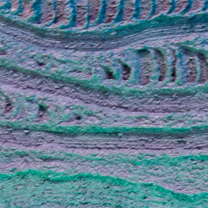 Shoreline - Saretta Art & Design