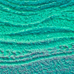 Shoreline - Saretta Art & Design