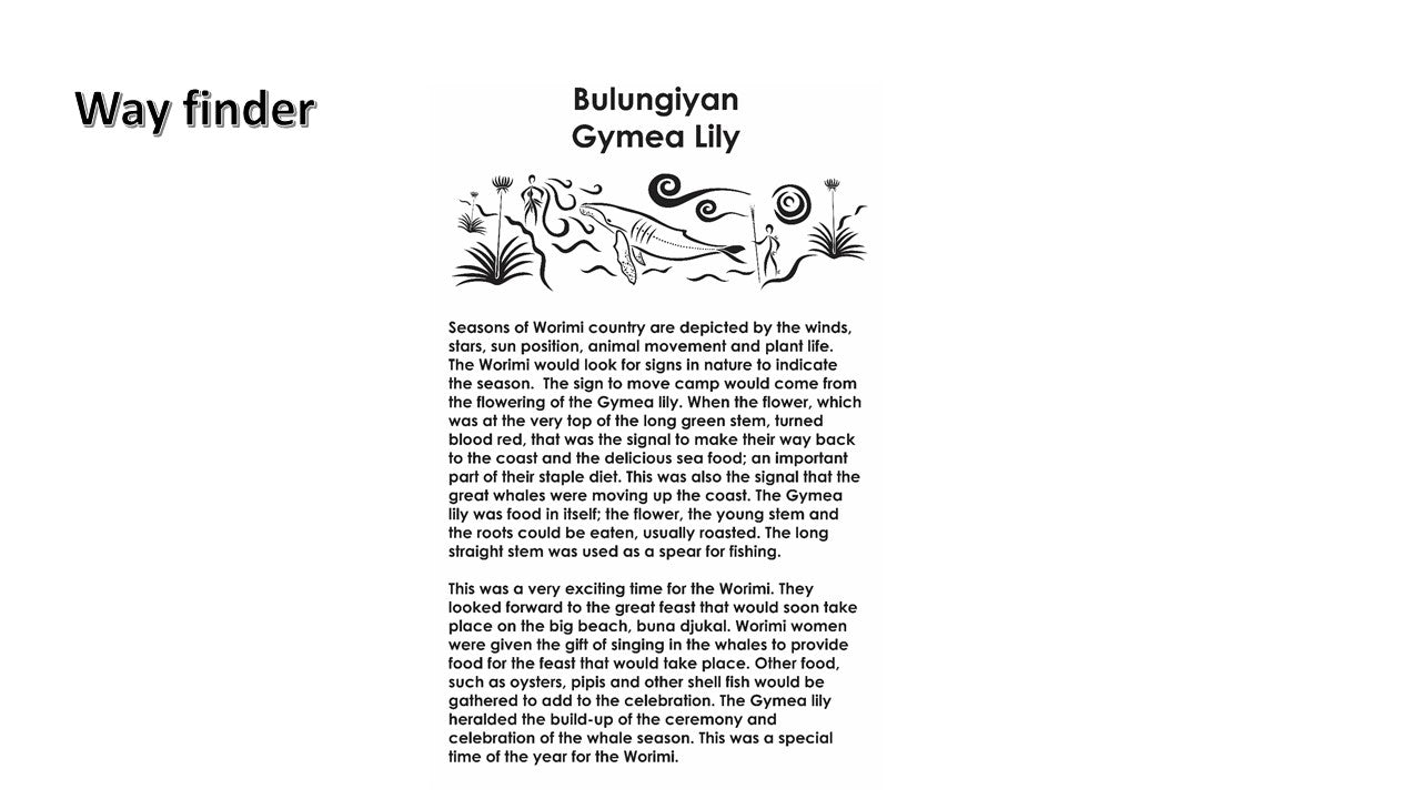 RAAF Williamtown - Saretta Art & Design