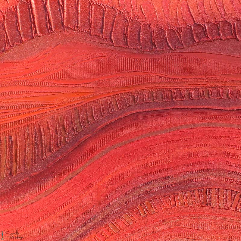 Wanaruah Parai – Upper Hunter Country - Saretta Art & Design