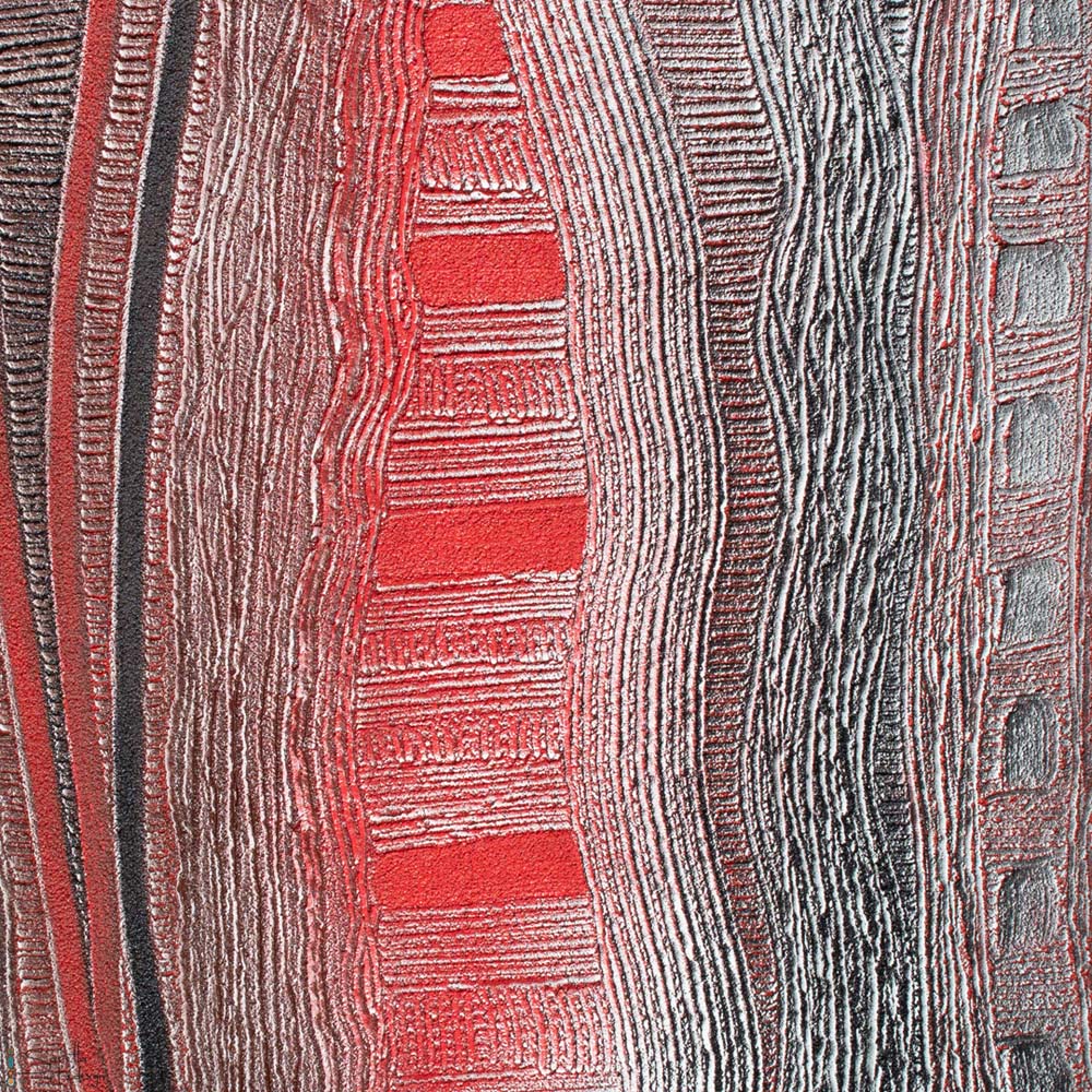 close up of Wolatiliko – Meet. Aboriginal artwork by Saretta