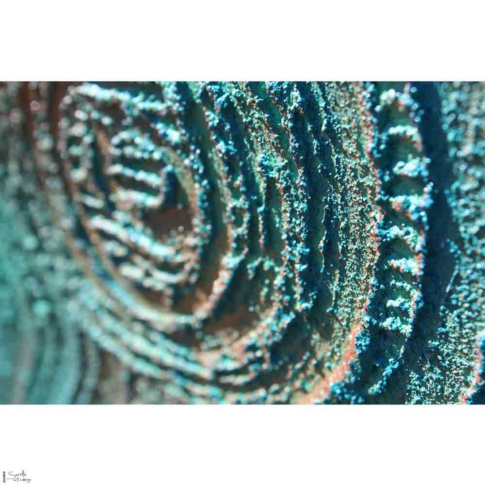 Yeyro – Freshwater series 2 - Saretta Art & Design