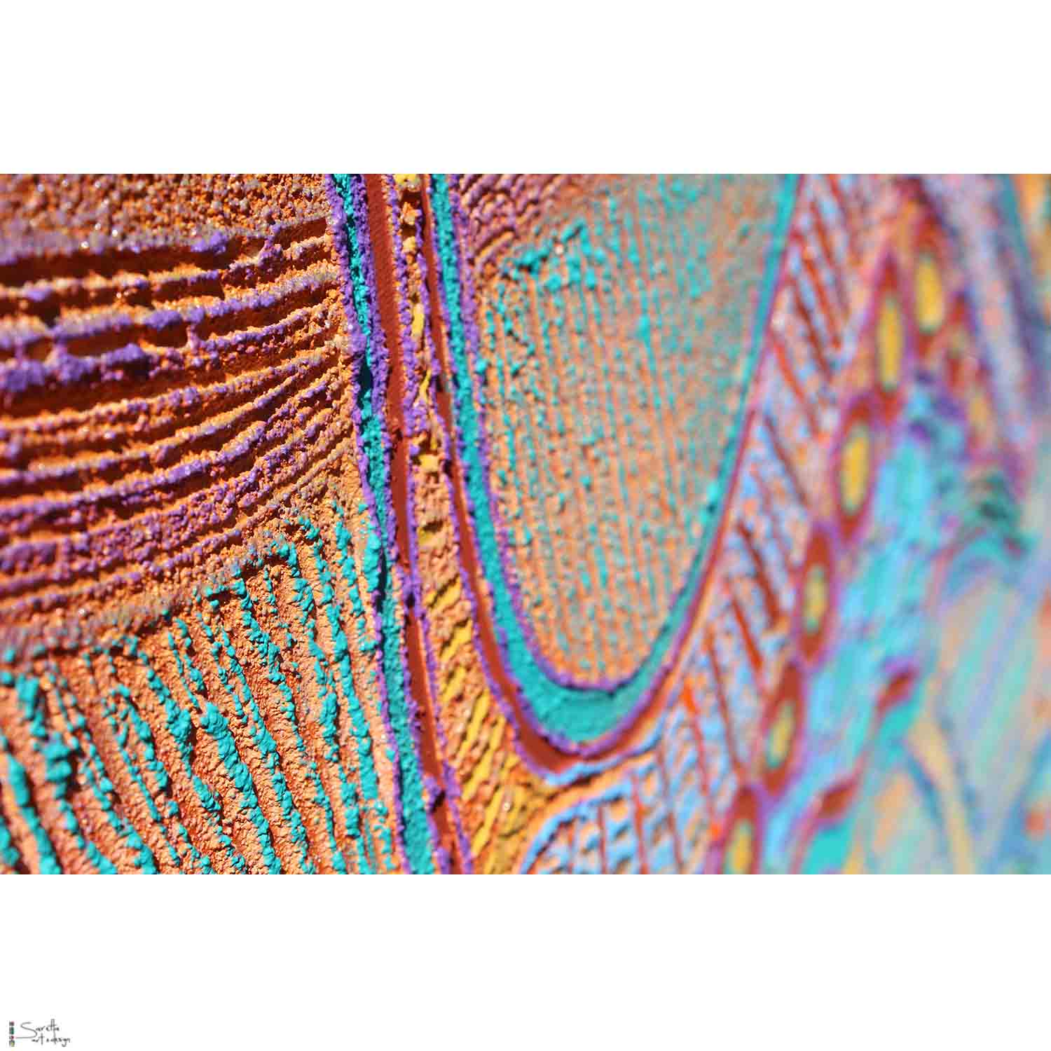 Bayiibayii Parai – Emu on Country, Early Links - Saretta Art & Design