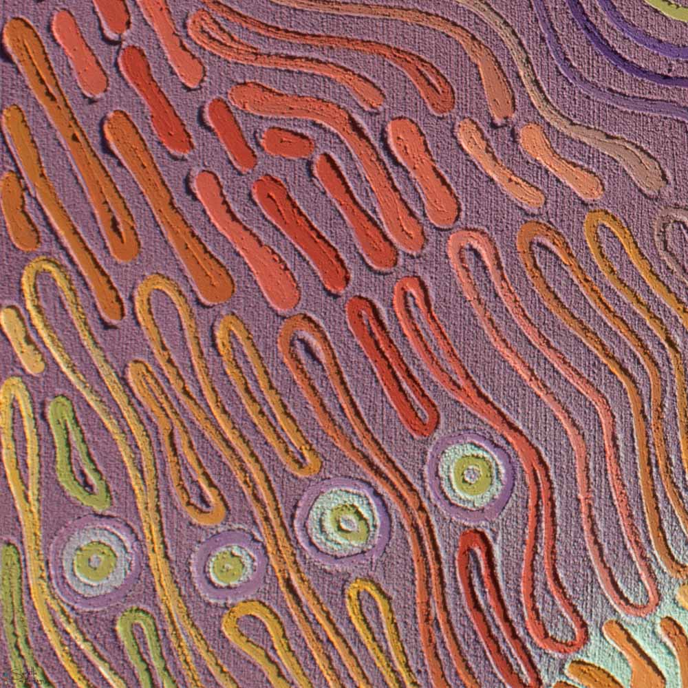close up of Bowangkaliko Malang – Rise Together Aboriginal artwork by Saretta