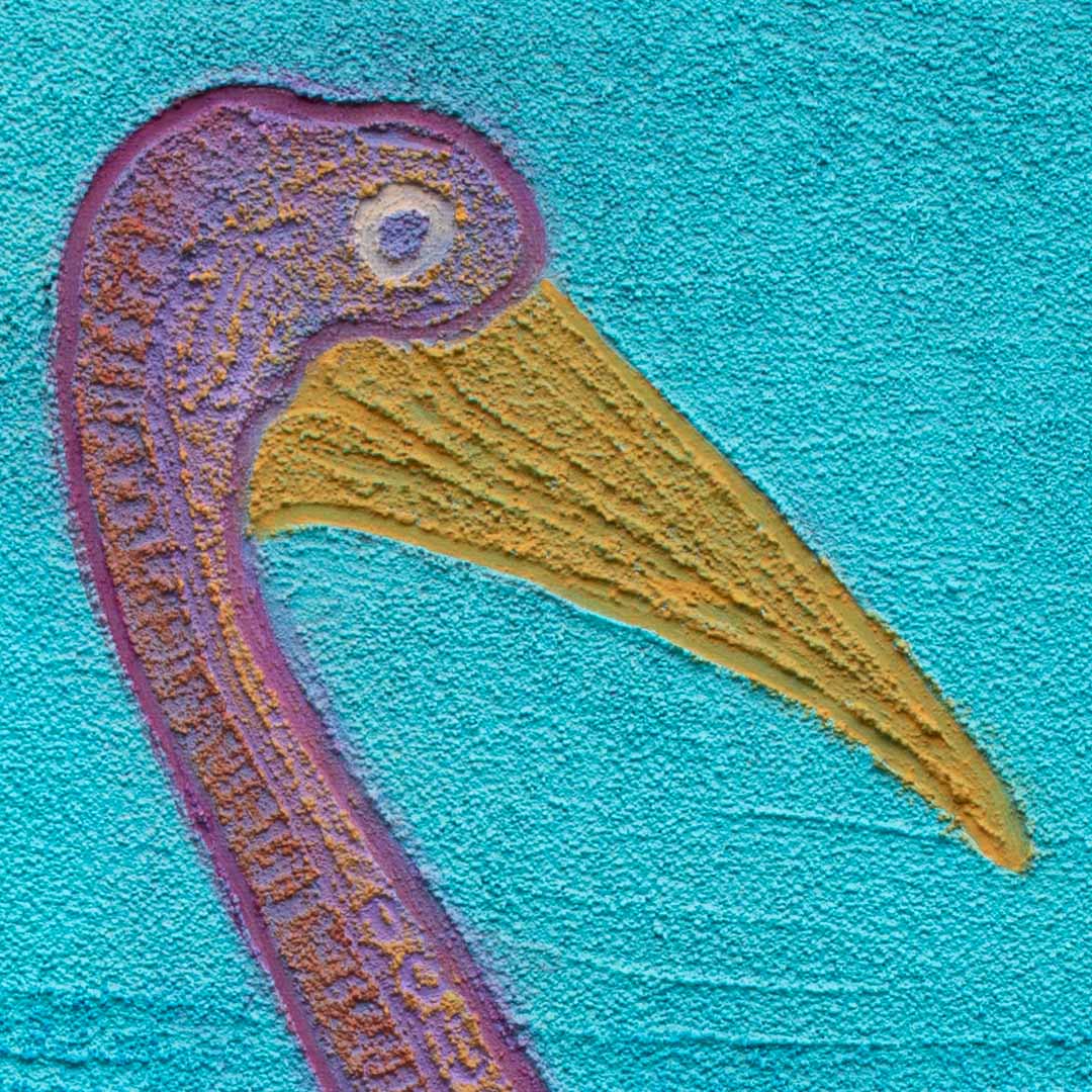 Karuung - Pelican