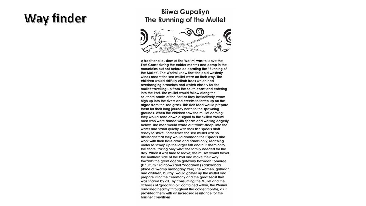 RAAF Williamtown - Saretta Art & Design